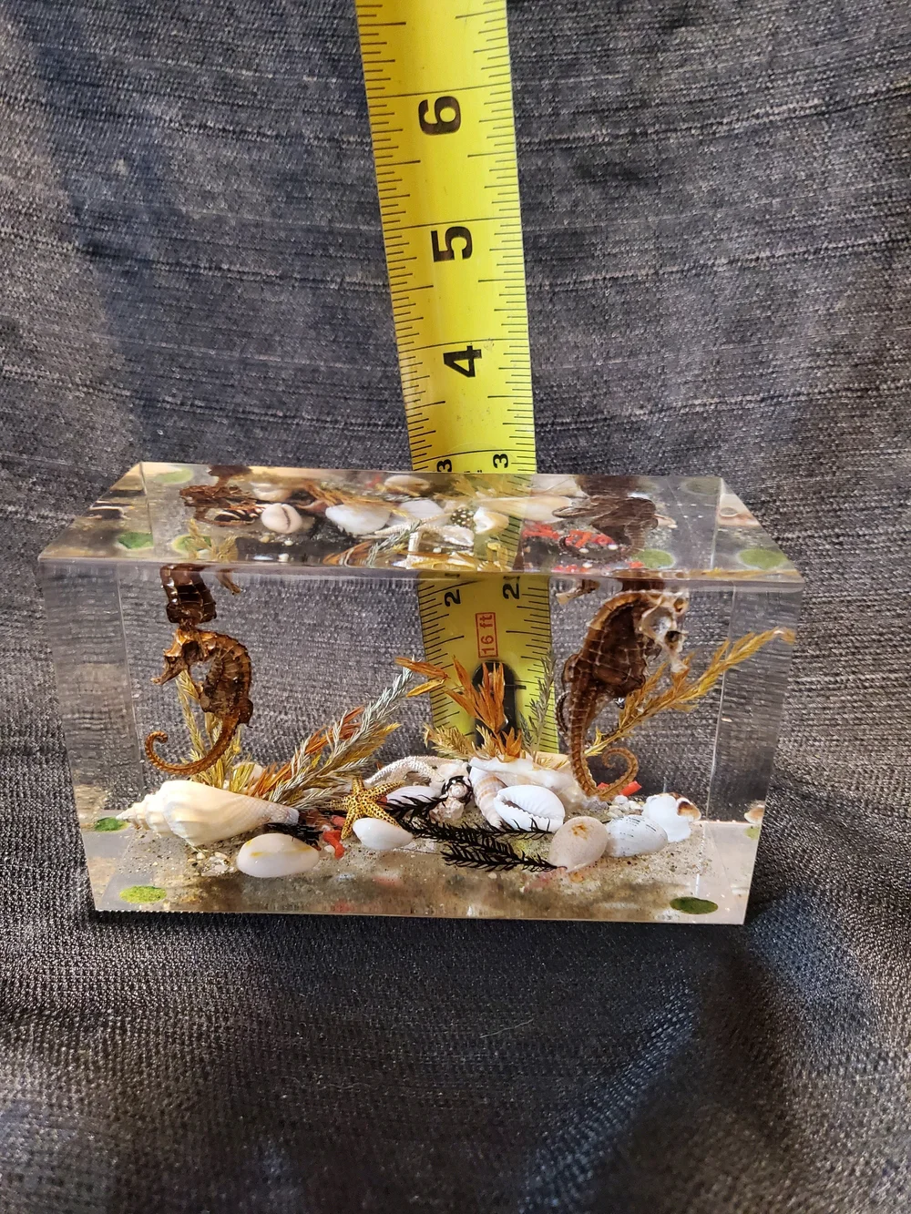Vintage Mid-Century Canadian Lucite Seahorse Acrylic Block Paperweight